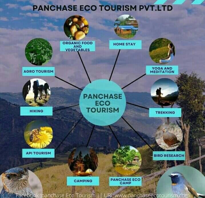 Panchase